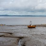 bo88直播平台:畅享高清流畅的在线直播体验 42mas