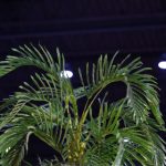 网上博彩平台的游戏种类及玩法详解 dx63y2