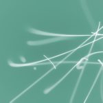 网上娱乐平台的种类与特点,带你了解不同选择 f1p23yggz