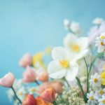 维加斯平台的游戏种类:从经典到创新的全面解析 lsujj4