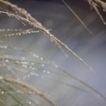 bo直播吧:最新赛事直播与精彩回放一网打尽 pb2o8ae2