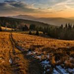 BTV财经频道高清直播:实时掌握市场动态与投资机会 sgniodod6p