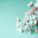 缅甸果博手机版最新版本功能与安全提示 wmpupbh0x