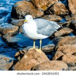 维基体育平台的优势:让你轻松获取最新体育资讯 x73u39ibep